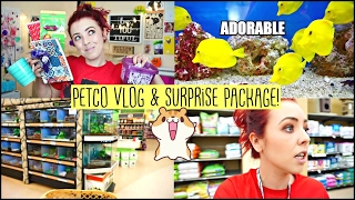 PETCO VLOG | Getting Hamster Treats, cute FISH & Reptiles | SURPRISE HAMSTER PACKAGE!