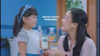 IKLAN FRISIAN FLAG 