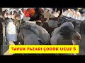 Halk Tavuk Pazarına Resmen Hücum Etti🧿🦃Kendime Horoz Aldım#Tavukpazarı#Tavukpazarıfiyatları#Trend