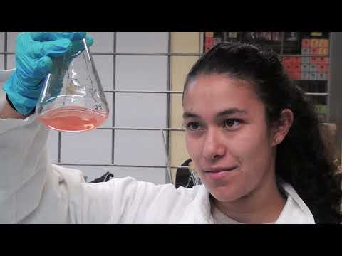 Práctica 1, parte 1: Riesgos en el laboratorio