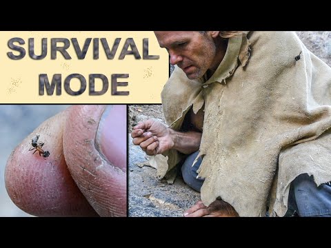 Eating Ants as a Primitive Survival Food - Day 3