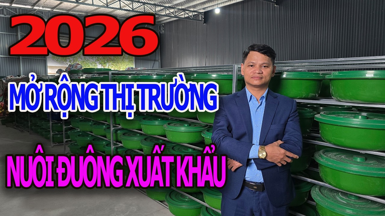 Xu Hướng 2026 : Nuôi Đuông Liên Kết Xuất Khẩu , Lợi Nhuận Đột Phá - Trại Đuông Lớn Nhất Miền Bắc