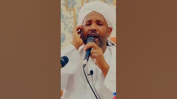 #اواخر_سورة_الزمر. #شيخ_الزين