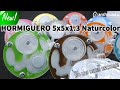 Video: Acrilico NaturColor 5x5x1,3cms Fungo