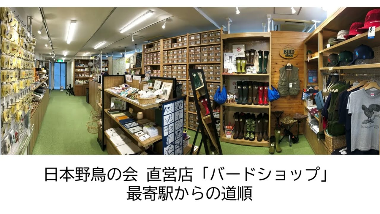 日本 野鳥 の 会 バード ショップ