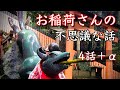 お稲荷さんの不思議な話 総集編
