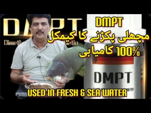 DMPT Power 100% for common Carp، Koi Carp, Catfish, Goldfish, Shrimp, Crab  and Terrapin۔ 