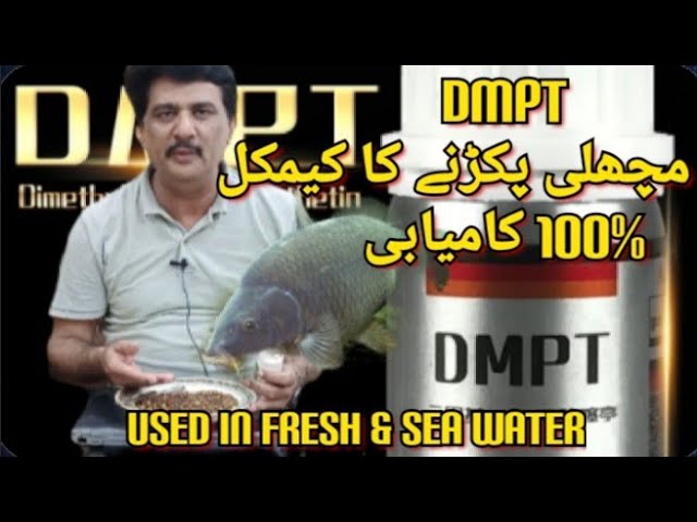 DMPT Power 100% for common Carp، Koi Carp, Catfish, Goldfish