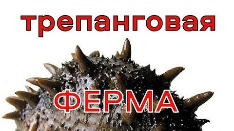 Трепанговая ферма в КНДР. Русские туристы, обед из морских деликатесов в северокорейской провинции