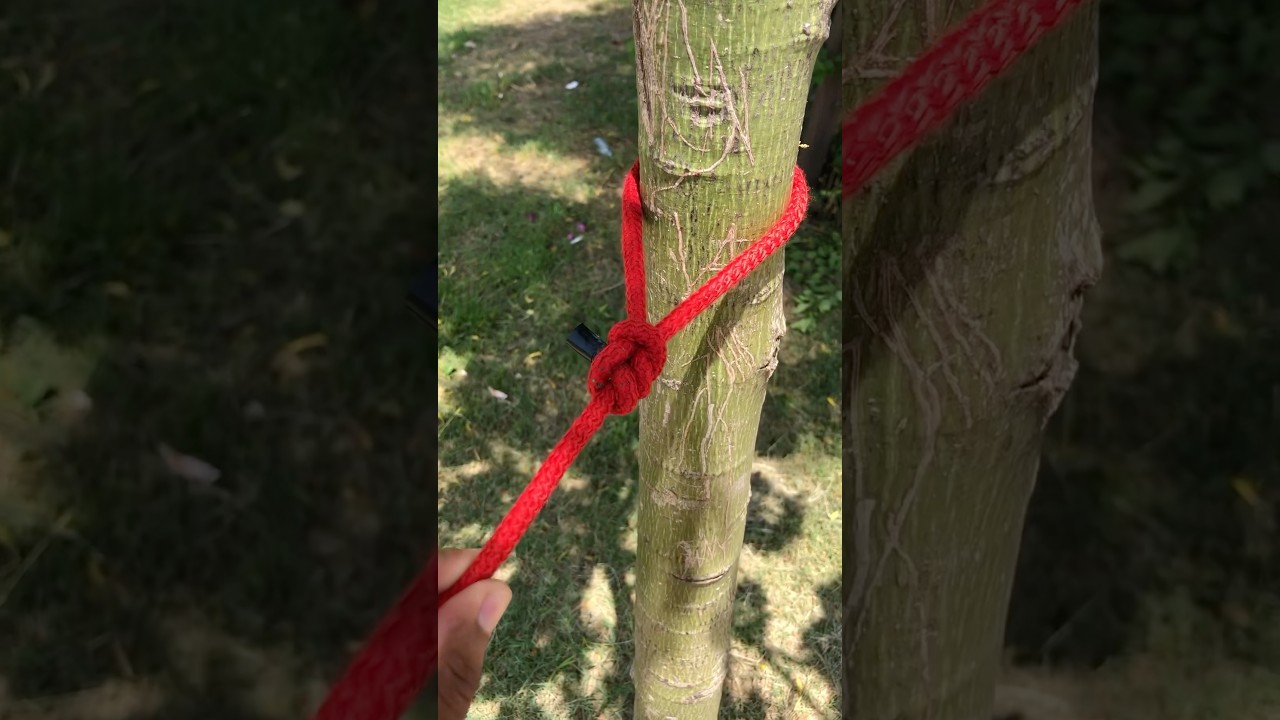 New Method For Tying Rope Around The Tree 🌲
