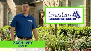 Pests Invading Your Home?