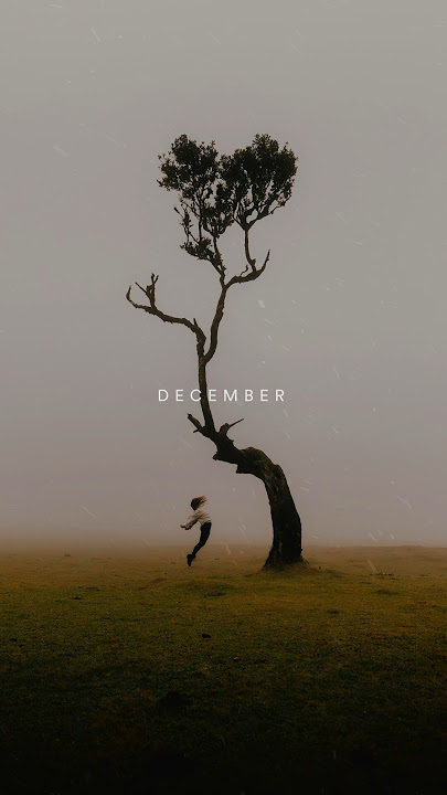 My december ❤️ #chillstep #music #chilloutmusic #auroranight #ambientchillout #relaxingmusic #new