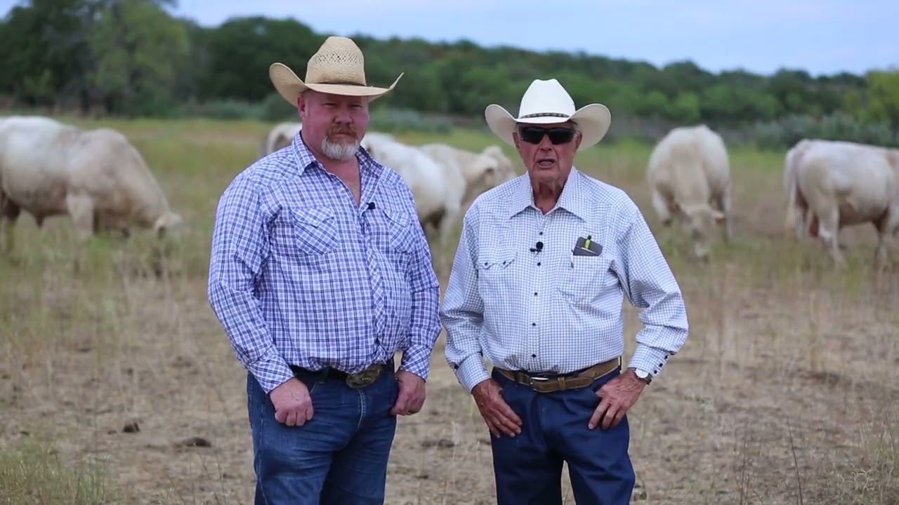 &ldquo;We like to produce calves that have high gain capabilities, that are healthy, and uniform. That&rsquo;s why we prefer Charolais bulls.&rdquo;Max MartinJX Ranch, Texas