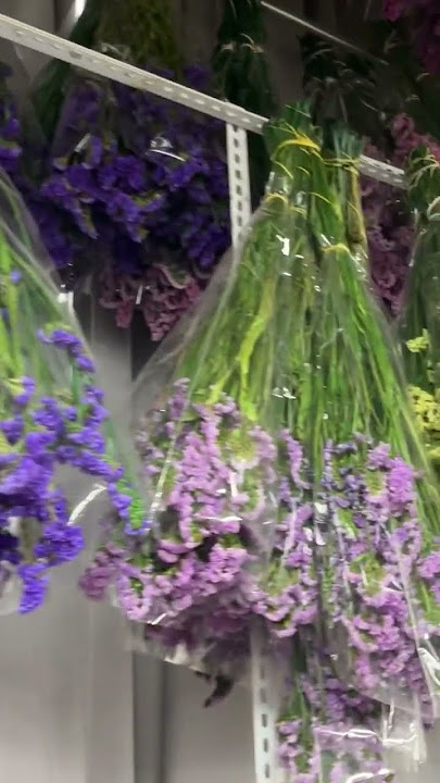 Statice sea lavender preserved dried flowers wholesale #statice #wholesale #dryflower #sayefloral