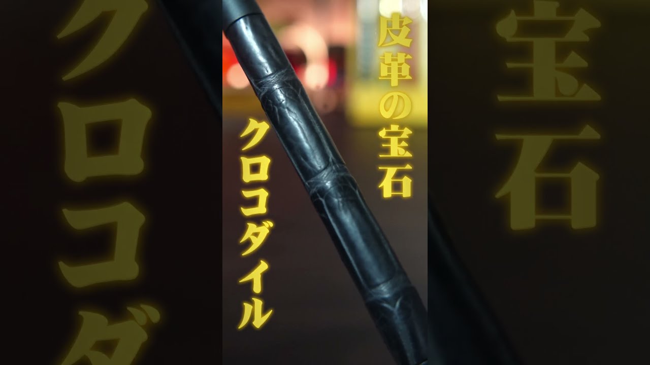 革軸ペン　クロコダイル　ブラック 革軸ペン | Schicksal