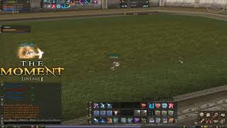 l2themoment 50x hierophant olympiad game vvsaKPlJFY0 1080p
