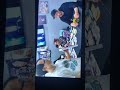 Johnny Yong Bosch (Pure Joy Toys 2024) Final Part