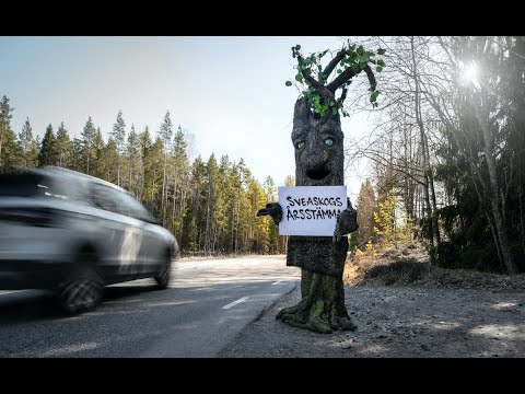 Video: Skogen är vår rikedom! Skogars betydelse, bevarande och skydd. Rysslands skogar