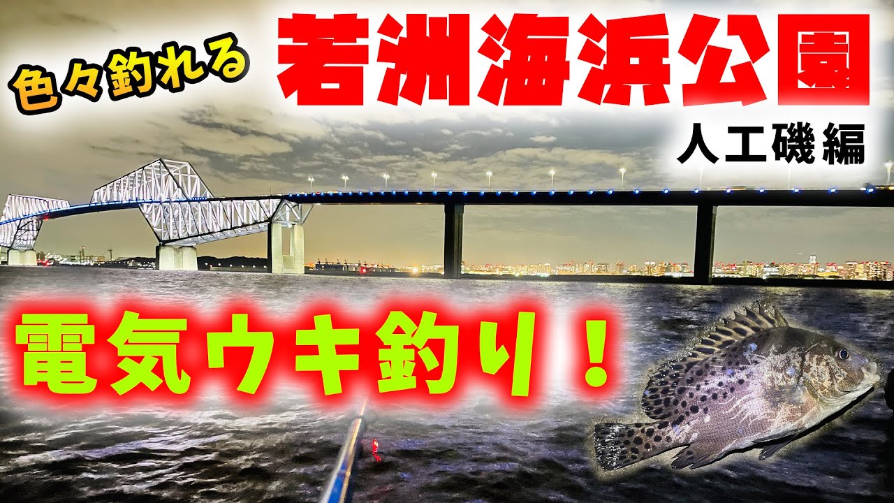 若洲海浜公園 色々釣れる電気ウキ釣り 人工磯編 シーバス コショウダイ チヌ 等 Youtube