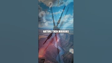 Echoes of the Infinite Quiz: From Fact to Question to Fact