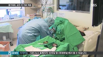 "줄기세포 치료제, 승인 전 환자에게 사용 가능" / SBS