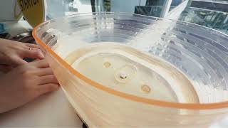 Rotor reinigen | ROLA Waterfountain