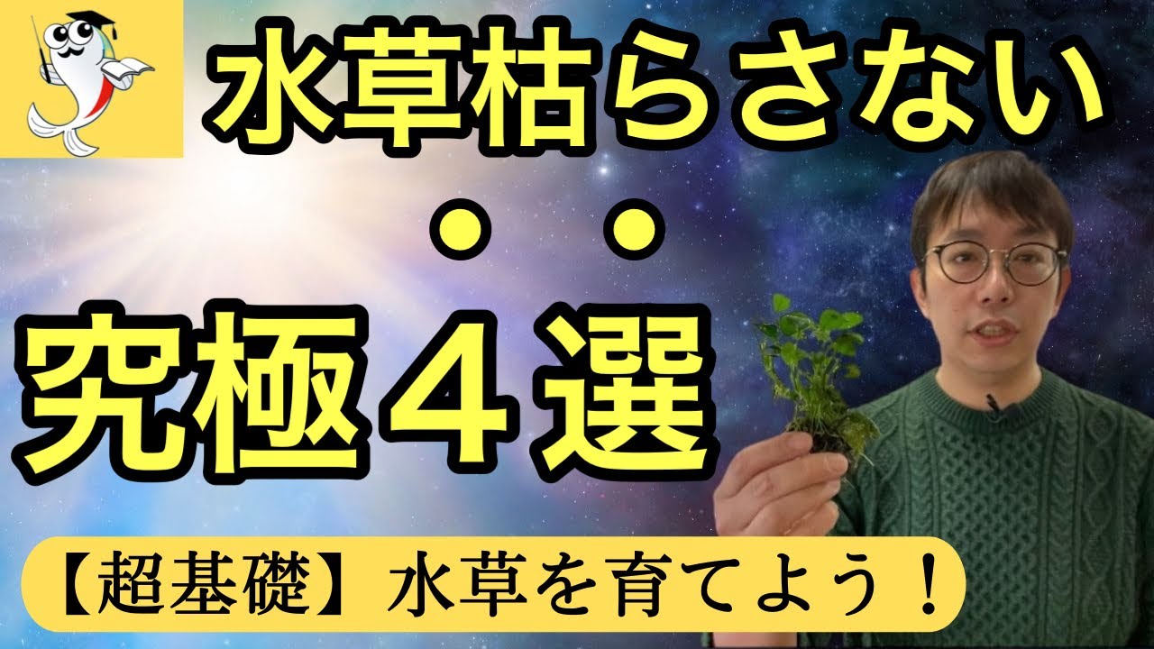 完全解決 簡単な水草が育たない 4つの原因と対処法 実践解説付き Youtube