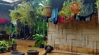 mikka wanichi chola bara ranna majajok