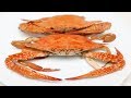طريقة تنظيف وطهي الكابوريا أو سرطان البحر خطوة خطوة في البيت -  cock and clean crabs