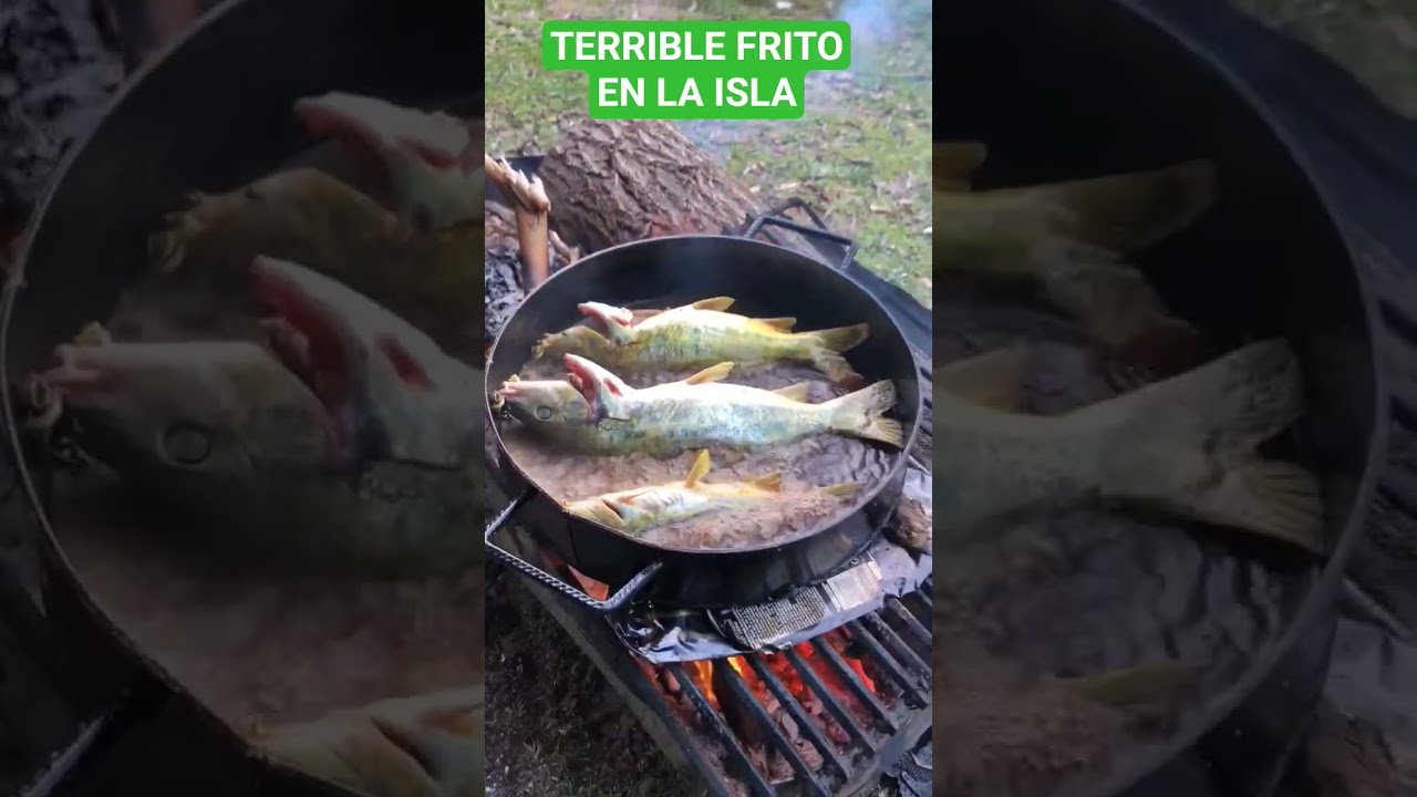 YA ESTA DISPONIBLE EL VÍDEO COMPLETO..CANAL PESCA REAL ARG 
