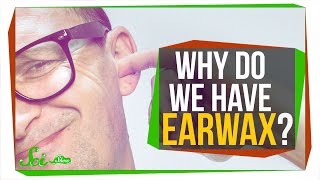 Why do we Have Earwax? Why do we Have Earwax?