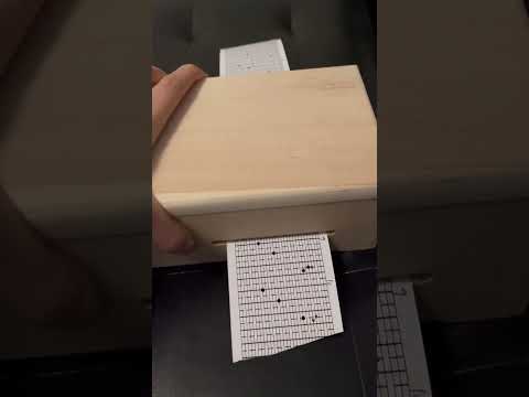 Watch Zhaoze Music Box | Birds Are Not True (Part 1) / 沼泽八音盒｜众鸟非真 上「没有答案风中飘」 on YouTube
