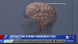 Interactive Stroke Awareness Tool
