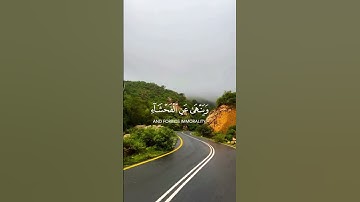 إِنَّ اللَّهَ يَأْمُرُ بِالْعَدْلِ|سورة النحل~الآية90~القارئ عبدالرحمن مسعد🎧🤍