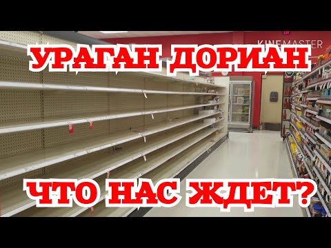 Видео: Дейвид Пейдж: 