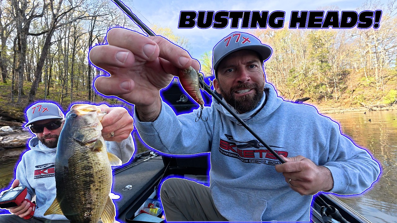 WHEELER LAKE Day 2 (MajorLeagueFishing Bass Tournament)