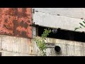 Drone λύνει τις απορίες για 