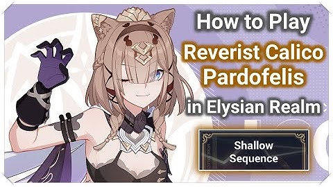 How To Play Reverist Calico Pardofelis in Elysian Realm Shallow Sequence [Honkai Impact 3]