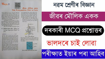 Class 9 Science Chapter 5 Question Answer Assamese Medium | Chapter 5 Important MCQ with Solution