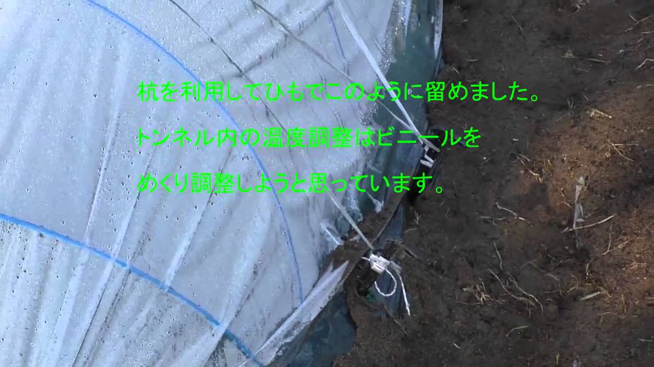 畑のビニールトンネルと杭 - YouTube