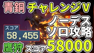 【ドラブラ】青銅チャレンジⅤ 鷹狩ソロ スコア58000 パーフェクト【コード:ドラゴンブラッド】