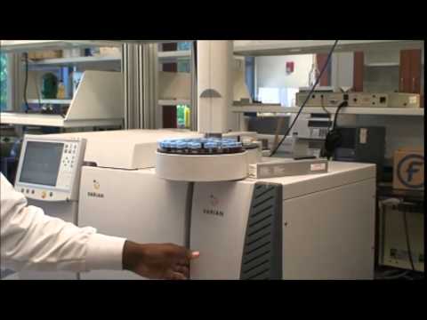 How to obtain GC-MS Spectra - YouTube