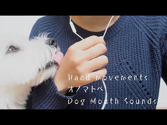 オノマトペ、手の動き、犬の口 より【ASMR 音フェチ】