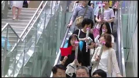 Cảng hàng không quốc tế Vân Đồn