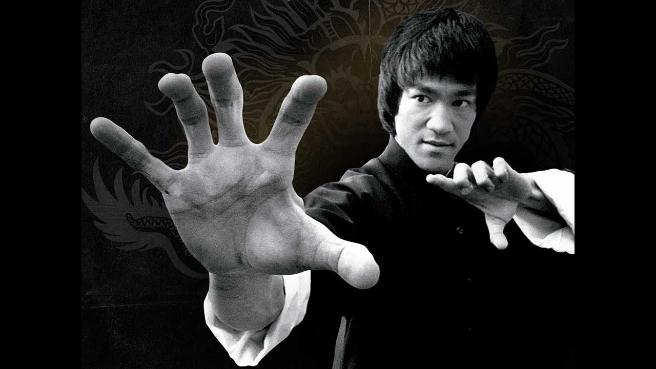 Anatomi / Kaslar / Üst Ekstremite (El)