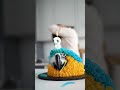 My Parrot’s Hilarious Reaction to a Parrot Cake! #shorts #cake #funny