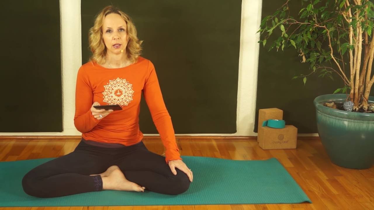 Yoga with Dr. Melissa West 306 Introduction to Spiritual Ecology Beginner Yoga Class yoga nidra meditação