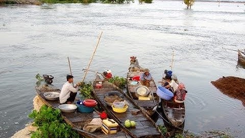 Ký sự miền Tây: Quê nghèo miền Tây mùa nước nổi