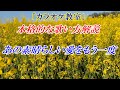 【YouTubeカラオケ教室】あの素晴らしい愛をもう一度 歌い方講座 まるでカラオケ教室に通っているような動画です 講師:末光