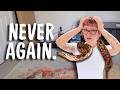 The Reality of Building my Dream Reptile Room